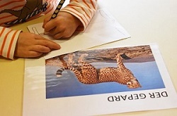 Projekt: Tiere - Kindergarten St. Peter u. Paul